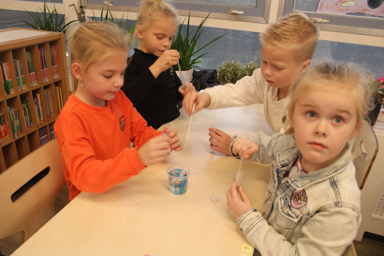 madsciencenovdido021